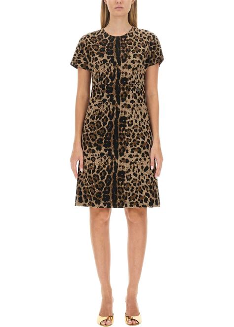 dolce gabbana rochii